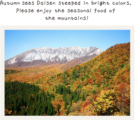Autumn sees Daisen steeped in bright colors. 
Please enjoy the seasonal food of the mountains!