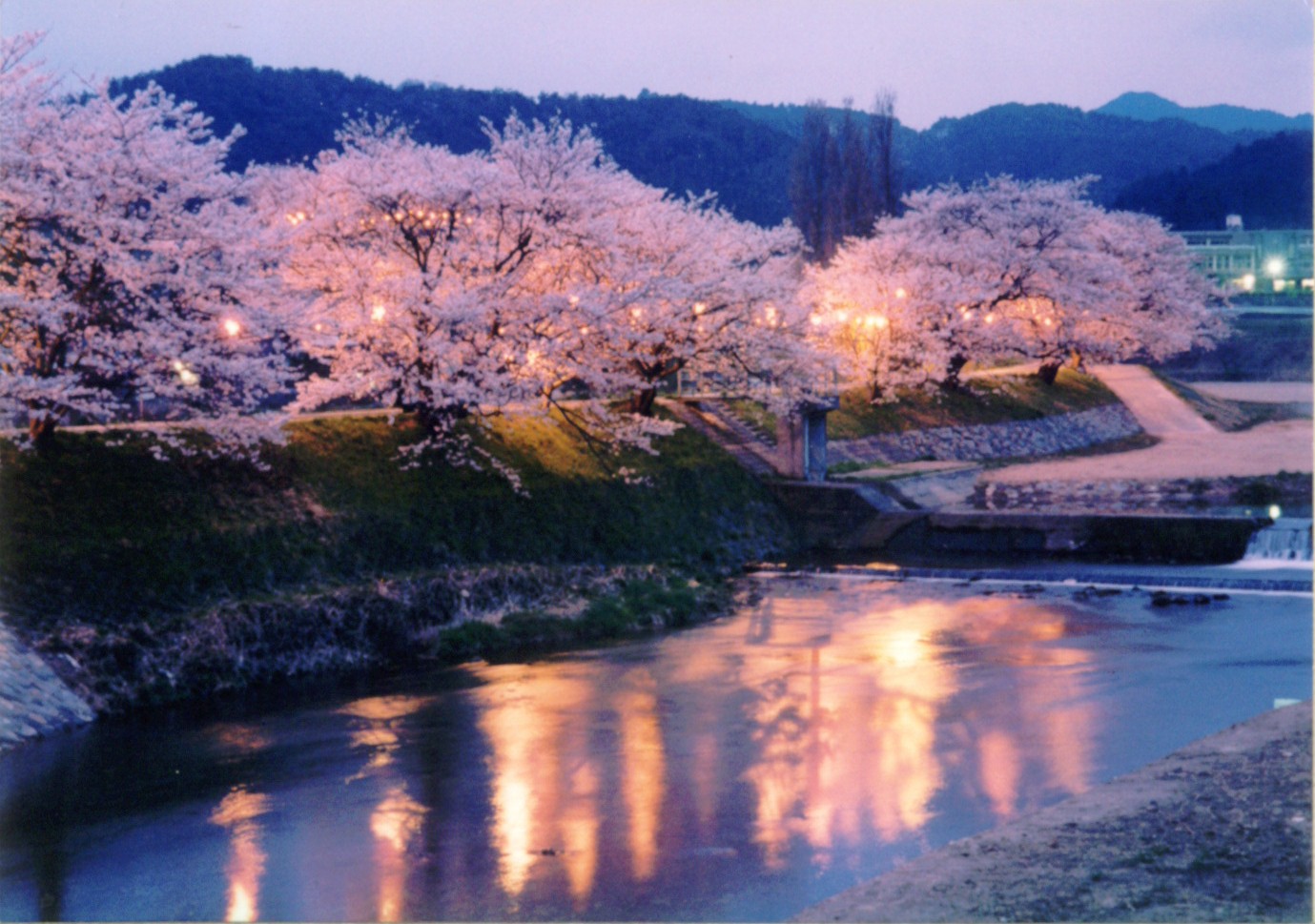 見てごしない 桜と蛍の舞う町 南部町 大山時間